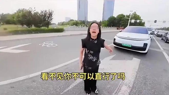司机气到流产公布完整行车记录仪河北女司机与骑手冲突后续：女(图15)